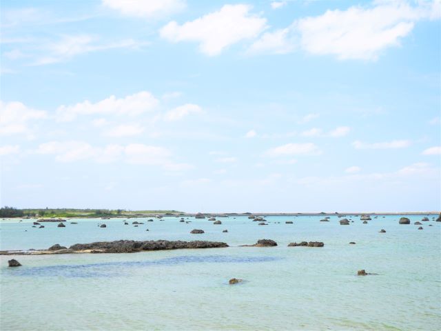 佐和田の浜