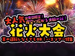 【2025年最新版】人気の花火大会バスツアーでらくらく参加！特集
